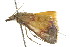  ( - BIOUG00984-C06)  @12 [ ] CreativeCommons - Attribution (2011) CBG Photography Group Centre for Biodiversity Genomics