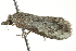  ( - BIOUG00984-F02)  @13 [ ] CreativeCommons - Attribution (2011) CBG Photography Group Centre for Biodiversity Genomics