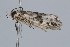  ( - BIOUG37472-E04)  @11 [ ] CreativeCommons - Attribution (2018) CBG Photography Group Centre for Biodiversity Genomics