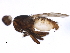  ( - BIOUG37514-D05)  @12 [ ] CreativeCommons - Attribution (2018) CBG Photography Group Centre for Biodiversity Genomics