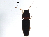  ( - BIOUG37521-G08)  @11 [ ] CreativeCommons - Attribution (2017) CBG Photography Group Centre for Biodiversity Genomics