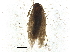  ( - BIOUG37597-B08)  @11 [ ] CreativeCommons - Attribution (2018) CBG Photography Group Centre for Biodiversity Genomics