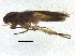  ( - BIOUG37597-E12)  @11 [ ] CreativeCommons - Attribution (2018) CBG Photography Group Centre for Biodiversity Genomics