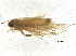  ( - BIOUG37597-G08)  @11 [ ] CreativeCommons - Attribution (2018) CBG Photography Group Centre for Biodiversity Genomics