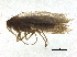 ( - BIOUG37597-H09)  @11 [ ] CreativeCommons - Attribution (2018) CBG Photography Group Centre for Biodiversity Genomics