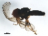  ( - BIOUG37598-H09)  @11 [ ] CreativeCommons - Attribution (2018) CBG Photography Group Centre for Biodiversity Genomics