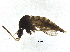 ( - BIOUG37601-H02)  @12 [ ] CreativeCommons - Attribution (2018) CBG Photography Group Centre for Biodiversity Genomics