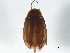 ( - BIOUG37602-C06)  @11 [ ] CreativeCommons - Attribution (2018) CBG Photography Group Centre for Biodiversity Genomics