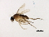  ( - BIOUG37603-D11)  @11 [ ] CreativeCommons - Attribution (2018) CBG Photography Group Centre for Biodiversity Genomics
