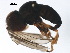  ( - BIOUG37604-A02)  @11 [ ] CreativeCommons - Attribution (2018) CBG Photography Group Centre for Biodiversity Genomics
