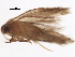  ( - BIOUG37604-B02)  @11 [ ] CreativeCommons - Attribution (2018) CBG Photography Group Centre for Biodiversity Genomics