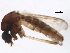 ( - BIOUG37604-E07)  @12 [ ] CreativeCommons - Attribution (2018) CBG Photography Group Centre for Biodiversity Genomics