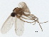  ( - BIOUG37606-F02)  @11 [ ] CreativeCommons - Attribution (2018) CBG Photography Group Centre for Biodiversity Genomics