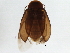  ( - BIOUG37608-E06)  @11 [ ] CreativeCommons - Attribution (2018) CBG Photography Group Centre for Biodiversity Genomics
