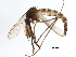  ( - BIOUG37608-E07)  @13 [ ] CreativeCommons - Attribution (2018) CBG Photography Group Centre for Biodiversity Genomics