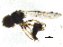  ( - BIOUG37610-C08)  @11 [ ] CreativeCommons - Attribution (2018) CBG Photography Group Centre for Biodiversity Genomics