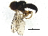  ( - BIOUG37610-E11)  @11 [ ] CreativeCommons - Attribution (2018) CBG Photography Group Centre for Biodiversity Genomics