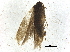  ( - BIOUG37610-F04)  @11 [ ] CreativeCommons - Attribution (2018) CBG Photography Group Centre for Biodiversity Genomics