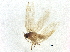  ( - BIOUG37612-D02)  @11 [ ] CreativeCommons - Attribution (2018) CBG Photography Group Centre for Biodiversity Genomics