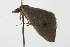  ( - BIOUG37460-B11)  @12 [ ] CreativeCommons - Attribution (2018) CBG Photography Group Centre for Biodiversity Genomics