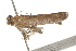  ( - BIOUG37461-F01)  @12 [ ] CreativeCommons - Attribution (2018) CBG Photography Group Centre for Biodiversity Genomics