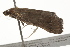  ( - BIOUG37463-D08)  @11 [ ] CreativeCommons - Attribution (2018) CBG Photography Group Centre for Biodiversity Genomics