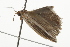  ( - BIOUG37463-E11)  @12 [ ] CreativeCommons - Attribution (2018) CBG Photography Group Centre for Biodiversity Genomics