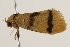  ( - BIOUG37465-B12)  @12 [ ] CreativeCommons - Attribution (2018) CBG Photography Group Centre for Biodiversity Genomics
