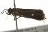  ( - BIOUG37468-G11)  @11 [ ] CreativeCommons - Attribution (2018) CBG Photography Group Centre for Biodiversity Genomics
