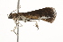  ( - BIOUG37464-H02)  @11 [ ] CreativeCommons - Attribution (2018) CBG Photography Group Centre for Biodiversity Genomics