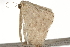  ( - BIOUG37462-B04)  @12 [ ] CreativeCommons - Attribution (2018) CBG Photography Group Centre for Biodiversity Genomics
