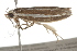  ( - BIOUG37469-B02)  @12 [ ] CreativeCommons - Attribution (2018) CBG Photography Group Centre for Biodiversity Genomics