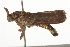  ( - BIOUG37473-E11)  @12 [ ] CreativeCommons - Attribution (2018) CBG Photography Group Centre for Biodiversity Genomics