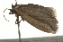  ( - BIOUG37475-G05)  @12 [ ] CreativeCommons - Attribution (2018) CBG Photography Group Centre for Biodiversity Genomics