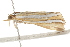  ( - BIOUG37476-E12)  @12 [ ] CreativeCommons - Attribution (2018) CBG Photography Group Centre for Biodiversity Genomics