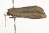  ( - BIOUG37477-B10)  @12 [ ] CreativeCommons - Attribution (2018) CBG Photography Group Centre for Biodiversity Genomics