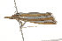  ( - BIOUG37477-E05)  @12 [ ] CreativeCommons - Attribution (2018) CBG Photography Group Centre for Biodiversity Genomics