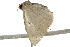  ( - BIOUG37657-D04)  @11 [ ] CreativeCommons - Attribution (2018) CBG Photography Group Centre for Biodiversity Genomics