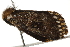  ( - BIOUG37658-G07)  @12 [ ] CreativeCommons - Attribution (2018) CBG Photography Group Centre for Biodiversity Genomics