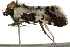  ( - BIOUG37659-E02)  @12 [ ] CreativeCommons - Attribution (2018) CBG Photography Group Centre for Biodiversity Genomics