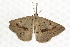  ( - BIOUG37661-H09)  @13 [ ] CreativeCommons - Attribution (2018) CBG Photography Group Centre for Biodiversity Genomics