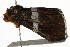  ( - BIOUG37662-E07)  @12 [ ] CreativeCommons - Attribution (2018) CBG Photography Group Centre for Biodiversity Genomics