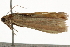  ( - BIOUG37740-F05)  @12 [ ] CreativeCommons - Attribution (2018) CBG Photography Group Centre for Biodiversity Genomics