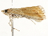  ( - BIOUG45811-A03)  @11 [ ] CreativeCommons - Attribution (2020) CBG Photography Group Centre for Biodiversity Genomics