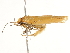  ( - BIOUG45811-G03)  @11 [ ] CreativeCommons - Attribution (2020) CBG Photography Group Centre for Biodiversity Genomics