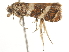  ( - BIOUG45815-H02)  @11 [ ] CreativeCommons - Attribution (2020) CBG Photography Group Centre for Biodiversity Genomics