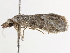  ( - BIOUG45816-B09)  @11 [ ] CreativeCommons - Attribution (2020) CBG Photography Group Centre for Biodiversity Genomics