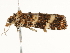 ( - BIOUG45817-C09)  @11 [ ] CreativeCommons - Attribution (2020) CBG Photography Group Centre for Biodiversity Genomics