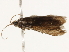  ( - BIOUG45817-E01)  @11 [ ] CreativeCommons - Attribution (2020) CBG Photography Group Centre for Biodiversity Genomics