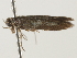  ( - BIOUG45817-E06)  @11 [ ] CreativeCommons - Attribution (2020) CBG Photography Group Centre for Biodiversity Genomics